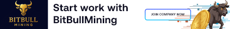 BitBullMining